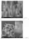 Fig. 05 - Method for preparing nanotubes of piezoelectric material and nanotubes of piezoelectric material obtained thereby