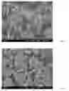 Fig. 06 - Method for preparing nanotubes of piezoelectric material and nanotubes of piezoelectric material obtained thereby