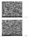 Fig. 08 - Method for preparing nanotubes of piezoelectric material and nanotubes of piezoelectric material obtained thereby