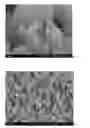 Fig. 11 - Method for preparing nanotubes of piezoelectric material and nanotubes of piezoelectric material obtained thereby
