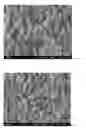 Fig. 12 - Method for preparing nanotubes of piezoelectric material and nanotubes of piezoelectric material obtained thereby
