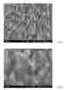 Fig. 13 - Method for preparing nanotubes of piezoelectric material and nanotubes of piezoelectric material obtained thereby