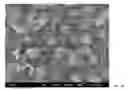 Fig. 14 - Method for preparing nanotubes of piezoelectric material and nanotubes of piezoelectric material obtained thereby