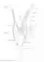 Fig. 02 - CPAP hose tender