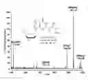 Fig. 01 - METHODS OF QUANTIFYING N2-(1-CARBOXYETHYL)-2'-DEOXY-GUANOSINE (CEdG) AND SYNTHESIS OF OLIGONUCLEOTIDES CONTAINING CEdG