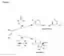 Fig. 08 - METHODS OF QUANTIFYING N2-(1-CARBOXYETHYL)-2'-DEOXY-GUANOSINE (CEdG) AND SYNTHESIS OF OLIGONUCLEOTIDES CONTAINING CEdG