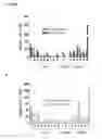 Fig. 22 - METHODS OF QUANTIFYING N2-(1-CARBOXYETHYL)-2'-DEOXY-GUANOSINE (CEdG) AND SYNTHESIS OF OLIGONUCLEOTIDES CONTAINING CEdG