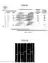 Fig. 11 - Charged particle beam apparatus