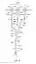 Fig. 04 - Phosphor based authentication system