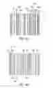 Fig. 10 - Phosphor based authentication system