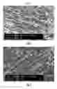 Fig. 02 - Radiation shielding members including nano-particles as a radiation shielding material and method for preparing the same