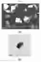 Fig. 03 - Radiation shielding members including nano-particles as a radiation shielding material and method for preparing the same