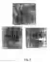 Fig. 06 - METHOD OF PRODUCING A FILM OF CARBON NANOTUBES ON A SUBSTRATE