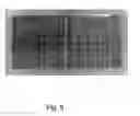 Fig. 10 - METHOD OF PRODUCING A FILM OF CARBON NANOTUBES ON A SUBSTRATE
