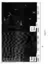 Fig. 11 - METHOD OF PRODUCING A FILM OF CARBON NANOTUBES ON A SUBSTRATE