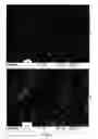 Fig. 13 - METHOD OF PRODUCING A FILM OF CARBON NANOTUBES ON A SUBSTRATE