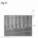 Fig. 18 - Nitride semiconductor substrate