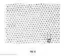 Fig. 10 - III-Nitride Semiconductor Light Emitting Device