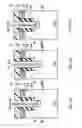Fig. 13 - SEMICONDUCTOR DEVICE AND MANUFACTURING METHOD THEREOF