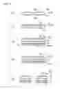 Fig. 06 - Semiconductor package and manufacturing method thereof