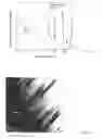 Fig. 07 - Zinc oxide based composites and methods for their fabrication