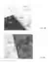 Fig. 08 - Zinc oxide based composites and methods for their fabrication