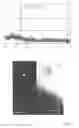 Fig. 14 - Zinc oxide based composites and methods for their fabrication