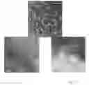 Fig. 17 - Zinc oxide based composites and methods for their fabrication