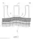 Fig. 06 - Method and associated device for manufacturing apiculture honeycombs