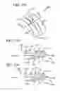 Fig. 17 - SEAL ASSEMBLY FOR A ROTARY EARTH BIT