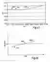Fig. 09 - Bicycle rear suspension system with controlled variable shock rate