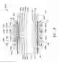 Fig. 04 - Hose coupling