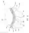 Fig. 10 - Hose