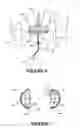 Fig. 07 - Power generator