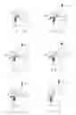 Fig. 09 - Vehicular container lid-latching system