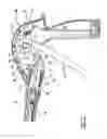 Fig. 06 - EXTENDIBLE REACHER