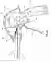 Fig. 18 - EXTENDIBLE REACHER