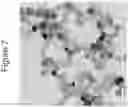Fig. 08 - Flame spray pyrolysis with versatile precursors for metal oxide nanoparticle synthesis and applications of submicron inorganic oxide compositions for transparent electrodes