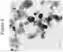 Fig. 10 - Flame spray pyrolysis with versatile precursors for metal oxide nanoparticle synthesis and applications of submicron inorganic oxide compositions for transparent electrodes