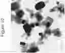 Fig. 11 - Flame spray pyrolysis with versatile precursors for metal oxide nanoparticle synthesis and applications of submicron inorganic oxide compositions for transparent electrodes