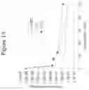 Fig. 14 - Flame spray pyrolysis with versatile precursors for metal oxide nanoparticle synthesis and applications of submicron inorganic oxide compositions for transparent electrodes