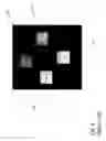 Fig. 07 - ELECTROLUMINESCENT DEVICE WITH INCREASED FILL FACTOR