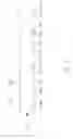 Fig. 11 - System for driving a plurality of lamps