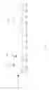 Fig. 12 - System for driving a plurality of lamps