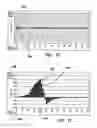 Fig. 09 - DIFFERENTIAL GRADIOMETRIC MAGNETOMETER, SYSTEM AND METHOD OF USE