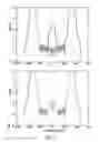 Fig. 04 - Optimized spectral-spatial pulse