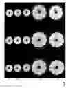 Fig. 08 - Dynamic composite gradient systems for MRI