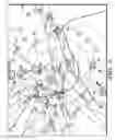Fig. 07 - Automatic dependent surveillance-broadcast (ADS-B) network infrastructure, ground station and situation display software deployment and evaluation activity