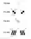 Fig. 43 - Image processing method and liquid-crystal display device using the same