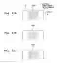 Fig. 12 - Jetting timing determining method, liquid-droplet jetting method and ink-jet printer